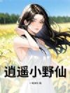 逍遥小野仙